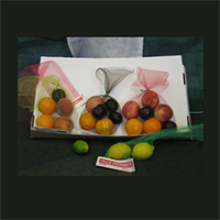 MESH PRODUCE BAGS with HEADER