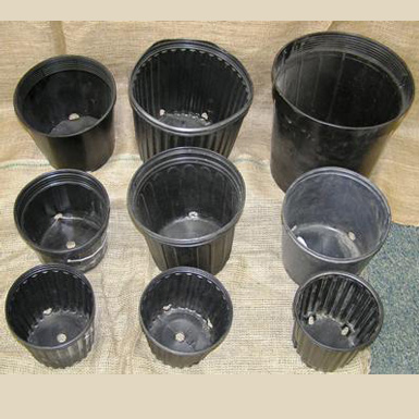 BLACK PLASTIC POTS